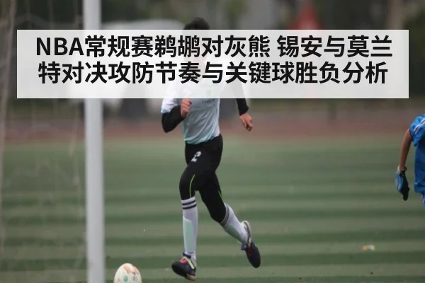 NBA常规赛鹈鹕对灰熊 锡安与莫兰特对决攻防节奏与关键球胜负分析 | c7entertainment